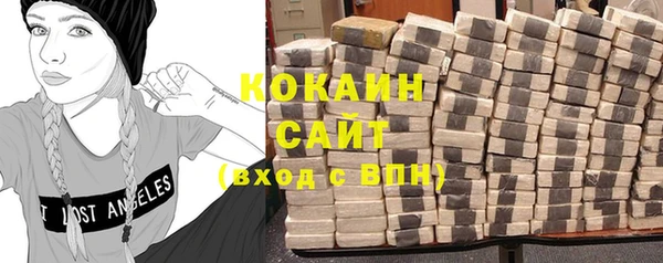 соль ск Алексин