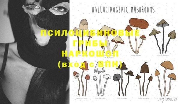 твердый Абдулино